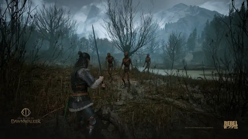 Coen approaches several figures in a marsh in an official The Blood of Dawnwalker screenshot