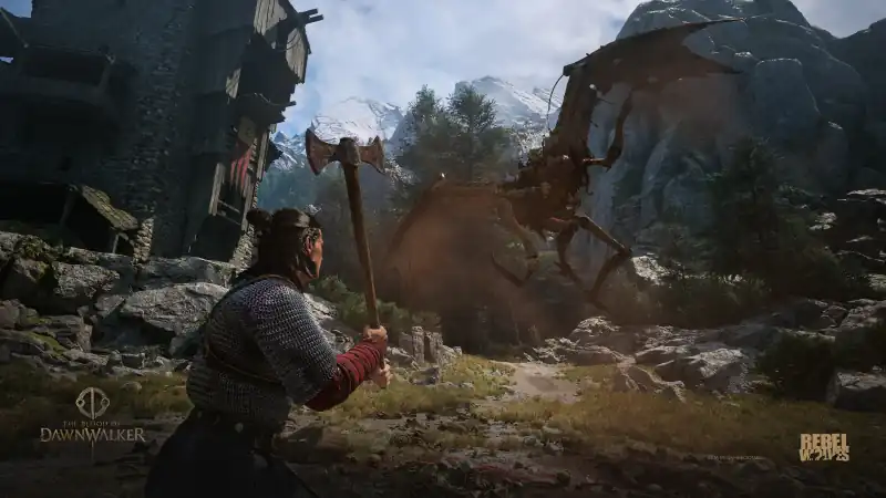 Coen faces a vampire during combat in The Blood of Dawnwalker